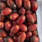 رطب القطيف خنيزي خلاص شيشي بوحي وعدة اصناف