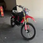 للبيع دباب صحراوي وسام معا اوراقه