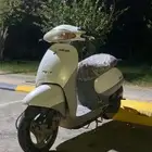 دباب بطه للبيع