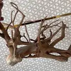 اغراض حوض سمك