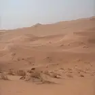 دناء متواجده في الدمام