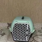 بوكس قطه نضيف