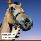 مهر واهو
