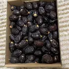 تمور القصيم سكري رطب ومفتل اسعار حلوة