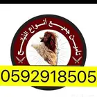 ذبايح