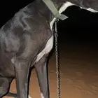 سلق ظايعه الي يحصلها يتواصل معي