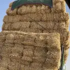 علف تبن