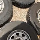 جنوط سفاري