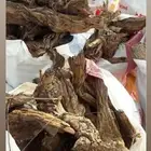 خياش يابسه وجروم