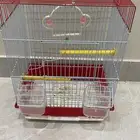 قفص استخدام اشهر