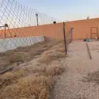 للبيع شبوك للدجاج او الحلال