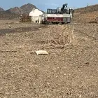 دينا ونش