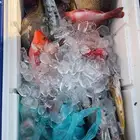 رحلات صيد بحرية في مرسى البضيع   جنوب جدة