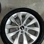 جنوط اوبتيما