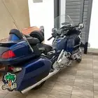 قولد وينق