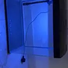 للبيع حوض سمك