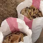 خبز غنم أو دجاج حلال