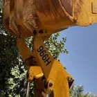شيول