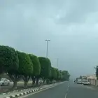 القرعا جامعه الملك خالد