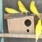 الجله وتبراك طريق النطاش