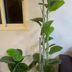 أشجار صناعيه