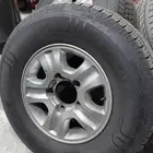 جنوط جكسار