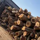 رياض الخبراء