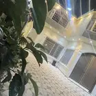 شاليه للايجار اليومي والاسبوعي