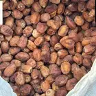 تمر للبيع ( مصانع )