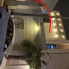 شقة للايجار حي العزيزية