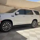 دينالي 2021