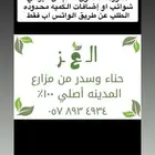 حناء من مزارع المدينه المنوره