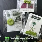 بخور مستكه نكهات