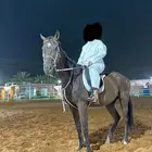 فرس للبيع