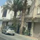 نخل