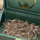 عود تايقر فيتنامي