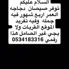 صيصان