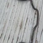 عمود توازن هايلكس 2015بيع مستعجل