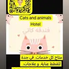 اوتيل قطط جدة وطيور