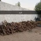 حطب كفو للبيع