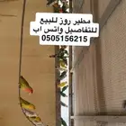 مطير روز