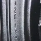 جنوط