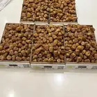 سكري مفتل طيبب بالحيل ما شاء الله