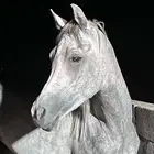حصان شعبي