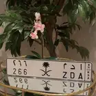 لوحة مميزة ادم (ا د م 266)
