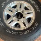 جنوط لكزز الحميد