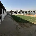 للإيجار   غرف خيل في مربط جاهز بالكامل