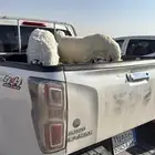 خرفان للبيع