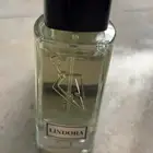 عطر ليندورا من فيصل الدايل