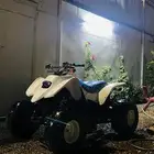 دباب سويدي